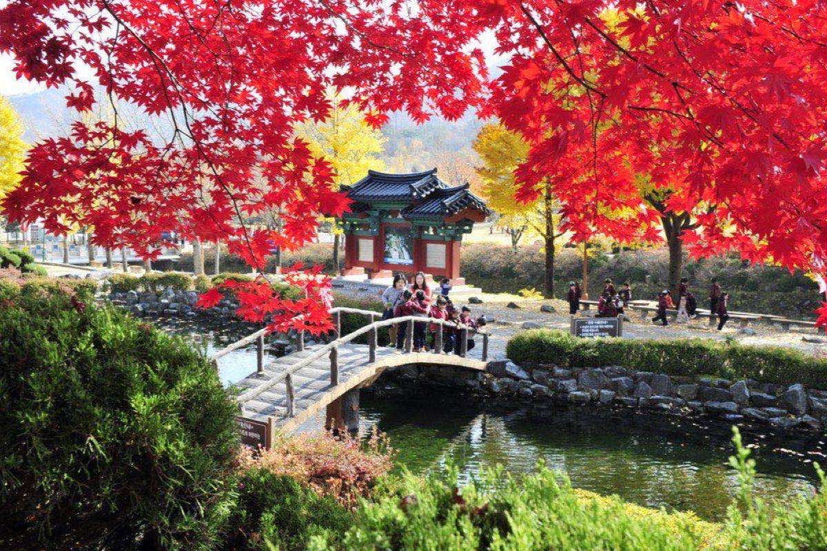 Tour Busan - Seoul - City Tour - Nami 6 ngày 5 đêm