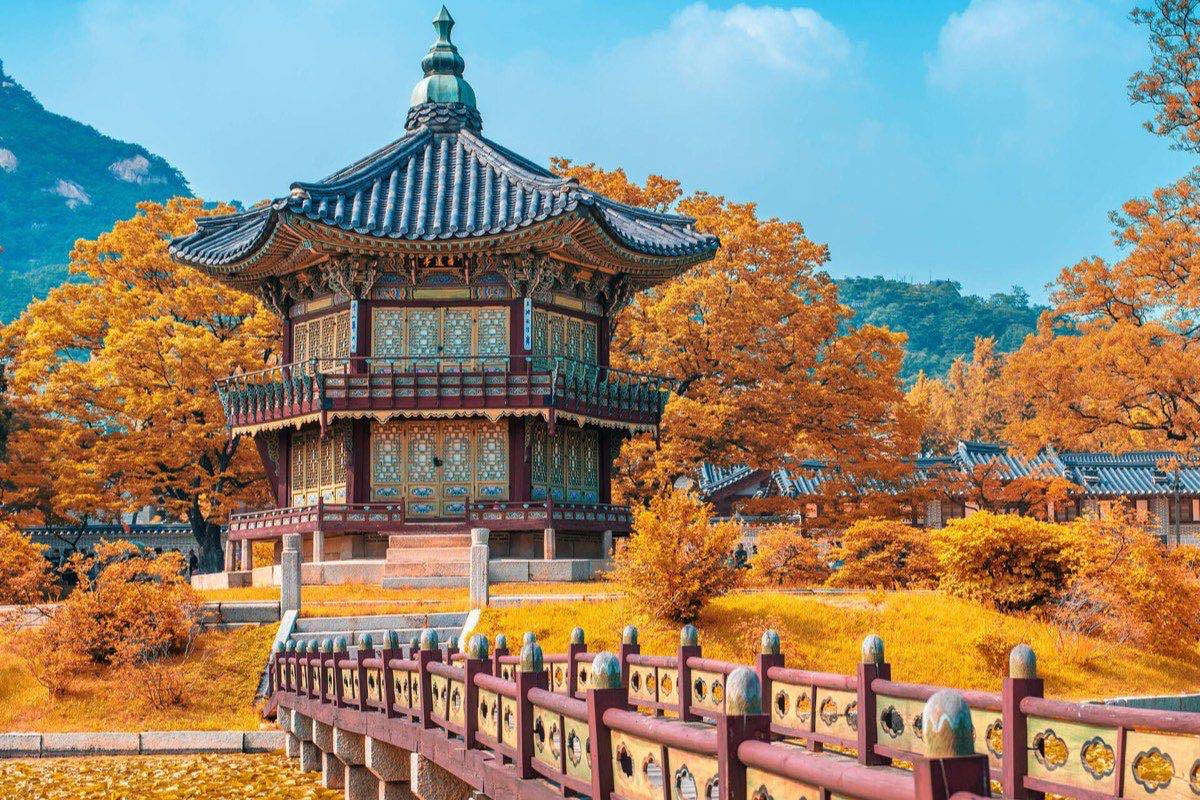 Tour Seoul - Nami - N Tower 5 ngày 4 đêm